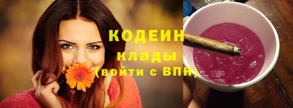 дживик Бронницы