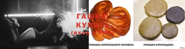 2c-b Бородино