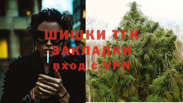 дживик Бронницы