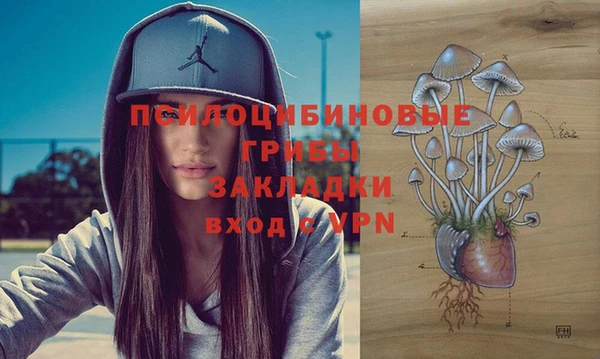 2c-b Бородино