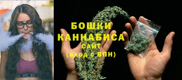 2c-b Бородино