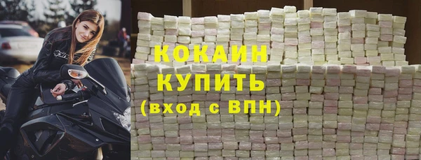 дживик Бронницы