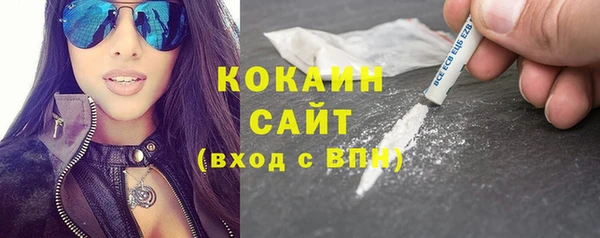 дживик Бронницы