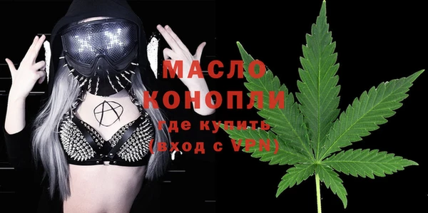 дживик Бронницы