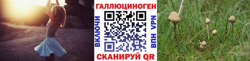 Галлюциногенные грибы Psilocybine cubensis  купить  сайты  Майкоп 